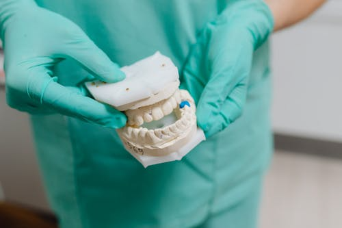  a pair of with gloves holding a dental model
